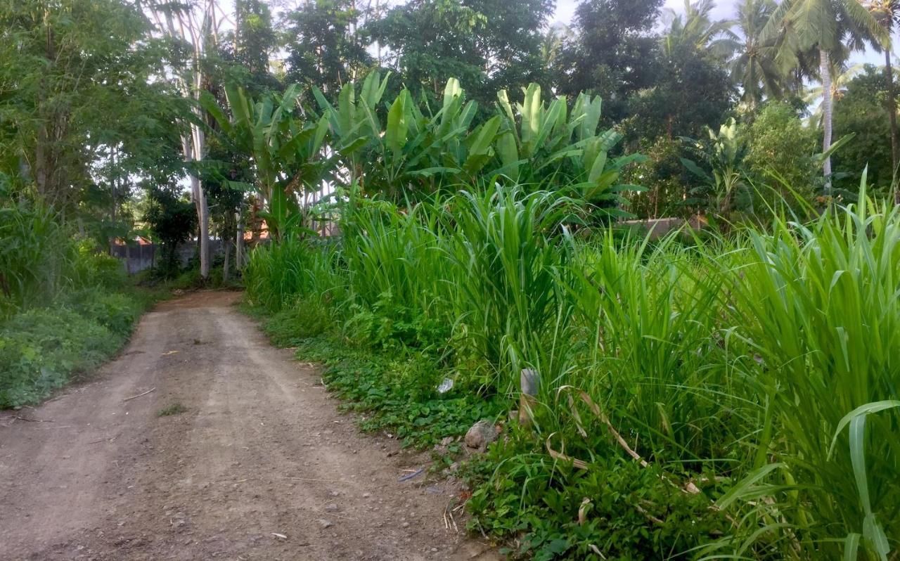 Chemel Homestay Kuta  Eksteriør bilde